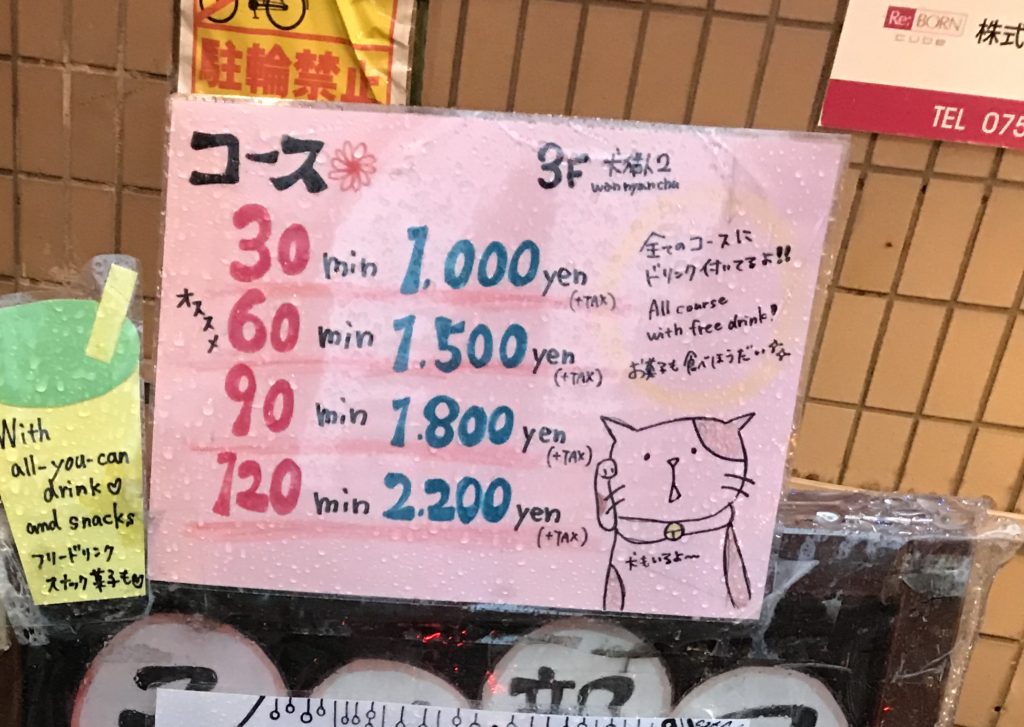 犬猫人京都猫カフェ